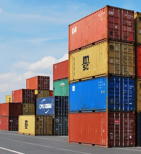 Platina 8 Trade - trading especializada em facilitar importações e exportações - Demais Serviços