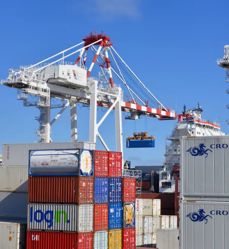 Platina 8 Trade - trading especializada em facilitar importações e exportações - Assessoria Aduaneira Completa