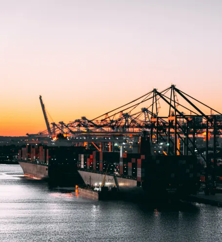 Platina 8 Trade - trading especializada em facilitar importações e exportações - Plataforma